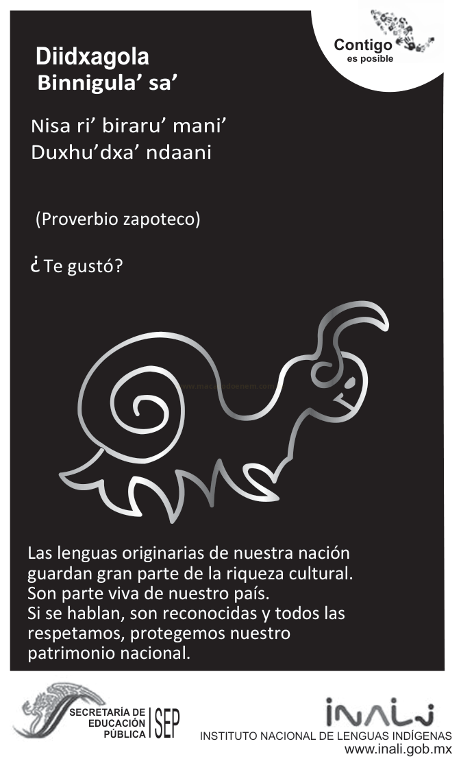 Cartaz de fundo preto com provérbio em zapoteco, desenho de caracol e texto em espanhol sobre línguas originárias.