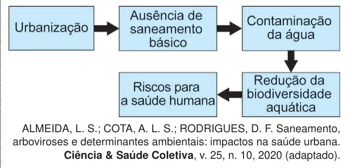 Fluxograma ligando urbanização, ausência de saneamento, contaminação da água, redução da biodiversidade aquática e riscos à saúde humana.