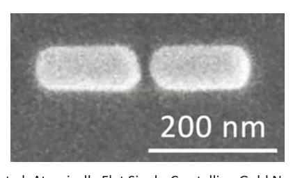 Micrografia em tons de cinza com duas partículas claras alongadas e barra de escala de 200 nm.