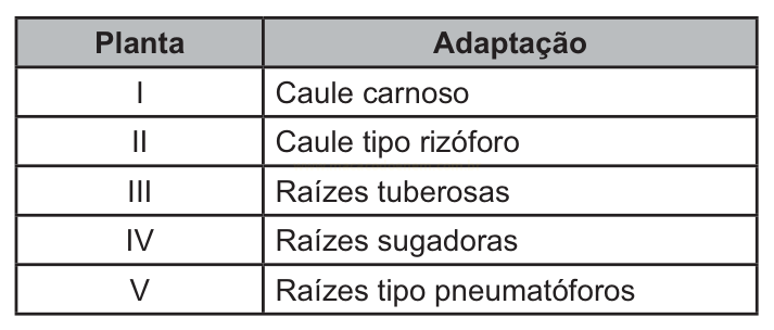 Tabela com cinco plantas identificadas por números romanos e o tipo de adaptação de cada uma.