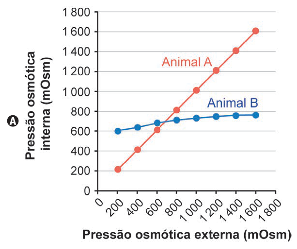 Gráfico A: a pressão interna do Animal A acompanha a externa, enquanto a do Animal B permanece quase constante entre 600 e 770 mOsm.