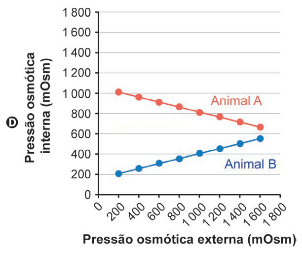 Gráfico D: a pressão interna do Animal A cai de cerca de 1010 para 660, enquanto a do Animal B sobe de cerca de 210 para 560 mOsm.