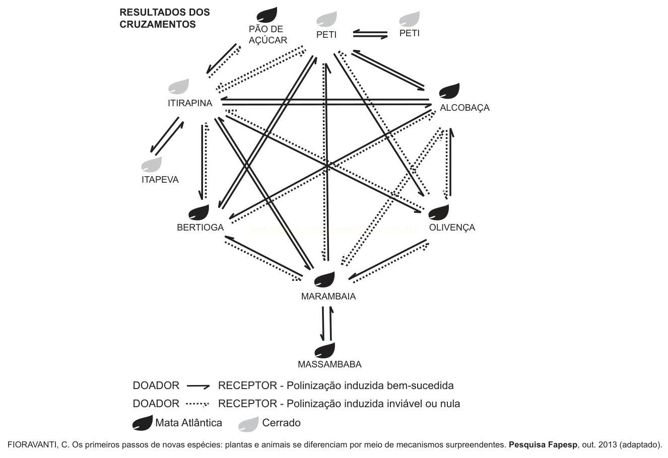 Diagrama de cruzamentos entre espécies de plantas, usando folhas (Mata Atlântica e Cerrado) e setas contínuas e pontilhadas indicando sucesso ou insucesso da polinização.