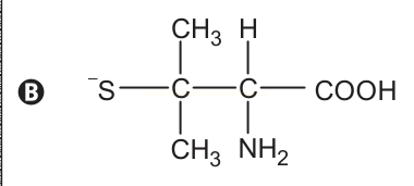Estrutura química B com grupo tiolato, dois metil, amino e carboxila COOH.