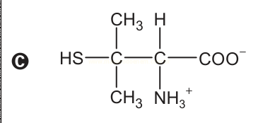 Estrutura química C com grupo tiol, dois metil, amônio e carboxilato.