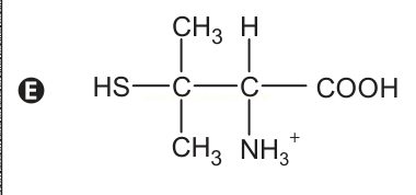 Estrutura química E com grupo tiol, dois metil, amônio e carboxila COOH.