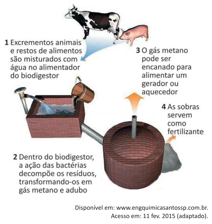 Esquema de biodigestor com quatro etapas, mostrando dejetos de animais, produção de gás metano e adubo.
