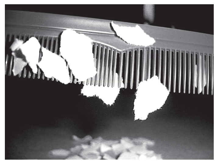 Fotografia em preto e branco de um pente com pequenos fragmentos claros presos entre os dentes.