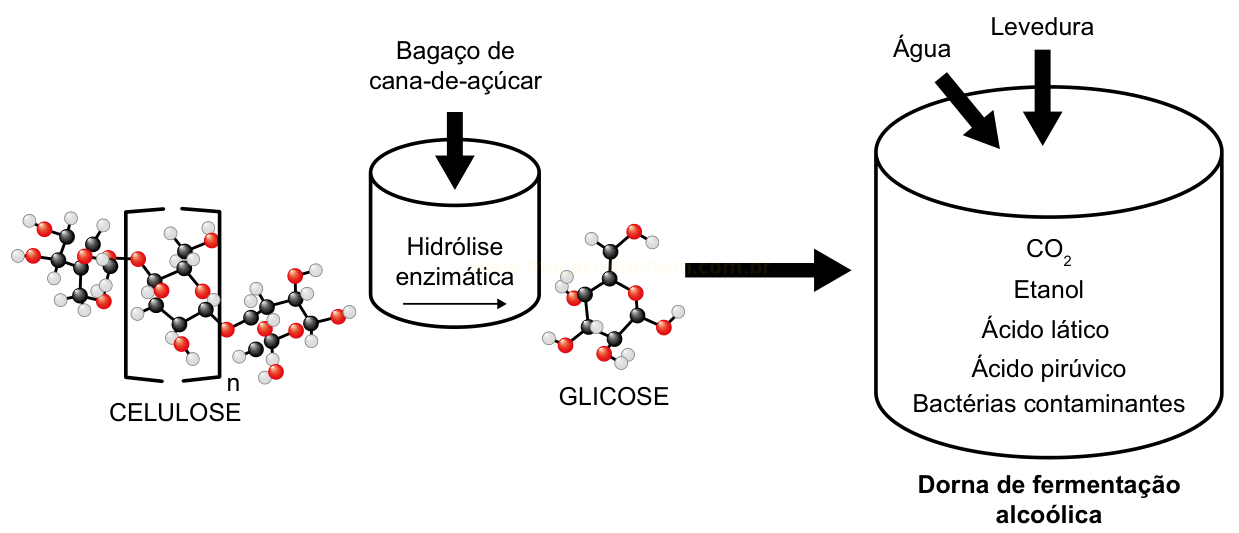 Diagrama do processo de produção de etanol: celulose, hidrólise enzimática, glicose e fermentação em dorna.