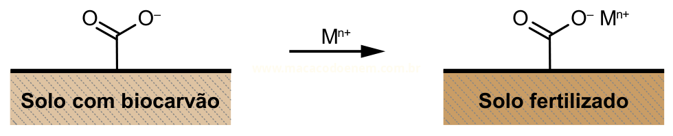 Esquema mostrando a ligação de um íon metálico Mn⁺ a grupos carboxilato de um solo com biocarvão, resultando em solo fertilizado.