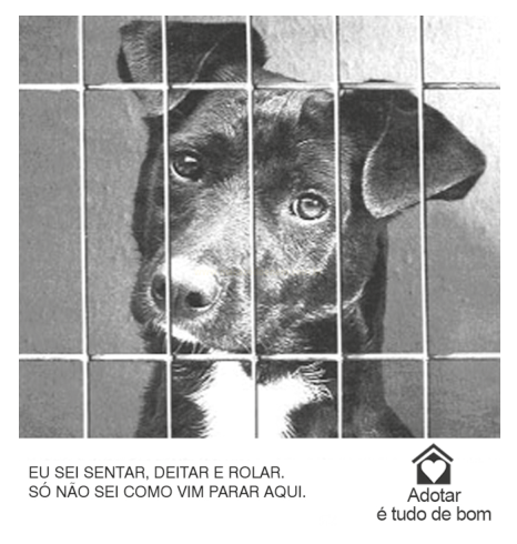 Imagem em preto e branco de um cachorro atrás de grades, acompanhada de texto sobre adoção.
