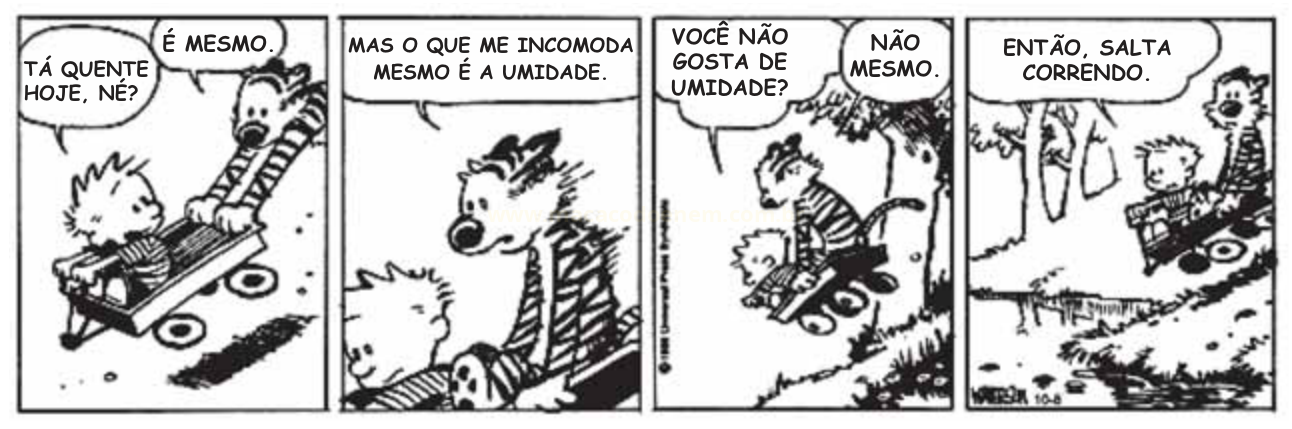 Tira de quadrinhos em quatro quadros com um menino e um tigre conversando sobre calor e umidade.