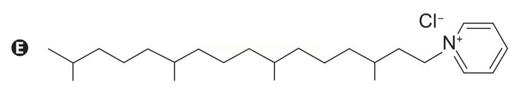 Estrutura química de cadeia ramificada ligada a anel piridínio com íon cloreto, rotulada E.