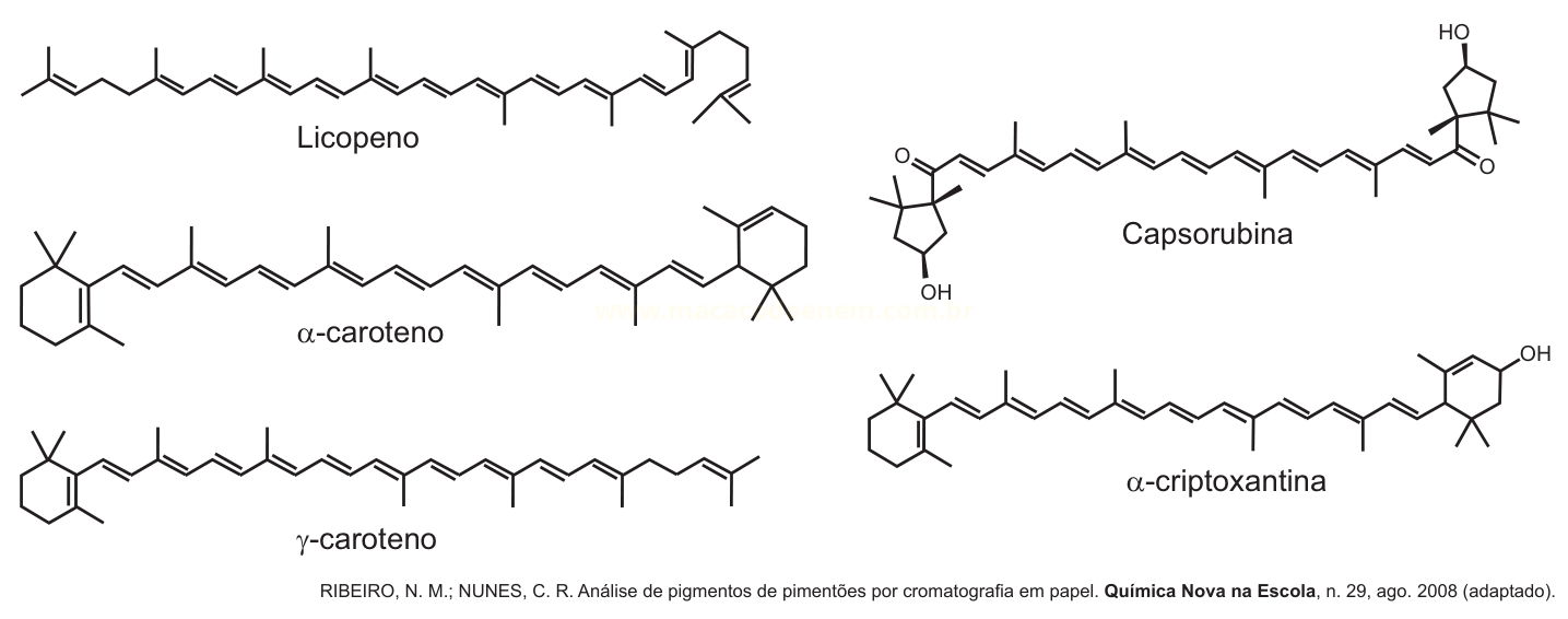 Conjunto de cinco estruturas químicas de pigmentos: licopeno, α-caroteno, γ-caroteno, capsorubina e α-criptoxantina.