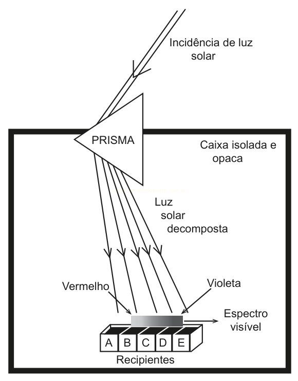 Esquema de luz solar atravessando um prisma em caixa opaca e sendo decomposta sobre cinco recipientes A a E.