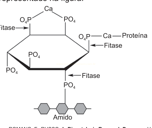 Esquema químico de uma molécula com anel, grupos fosfato, cálcio e amido, com setas indicando a ação da fitase.