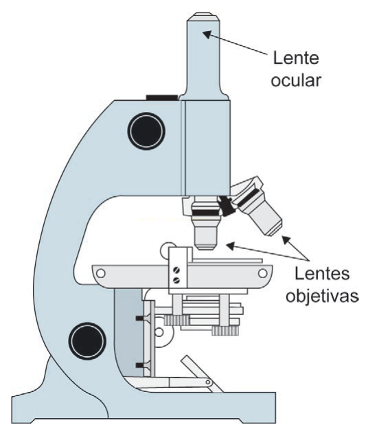 Desenho de microscópio óptico com indicações da lente ocular e das lentes objetivas.