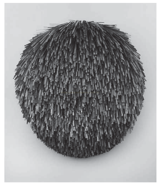 Fotografia em preto e branco de um objeto esférico coberto por centenas de hastes finas e escuras, semelhante a um ouriço.