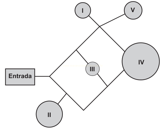 Diagrama com caixa 'Entrada' ligada a um losango de linhas que conecta os nós circulares I, II, III, IV e V.