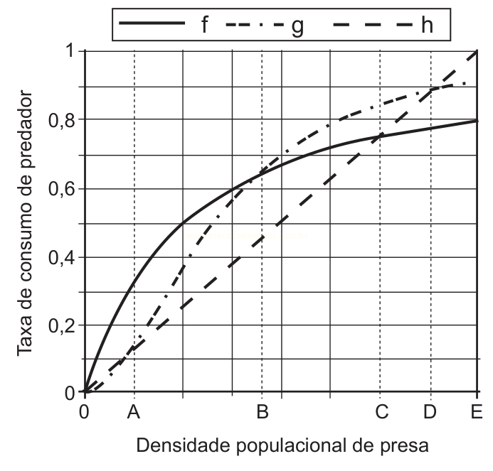 Gráfico com três curvas (f, g e h) relacionando a taxa de consumo do predador à densidade populacional de presa.
