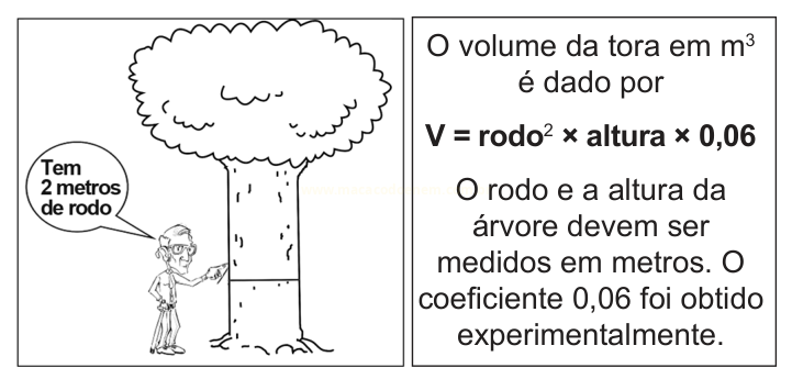 Quadrinho com uma árvore, um homem apontando o tronco e a fórmula do volume da tora.