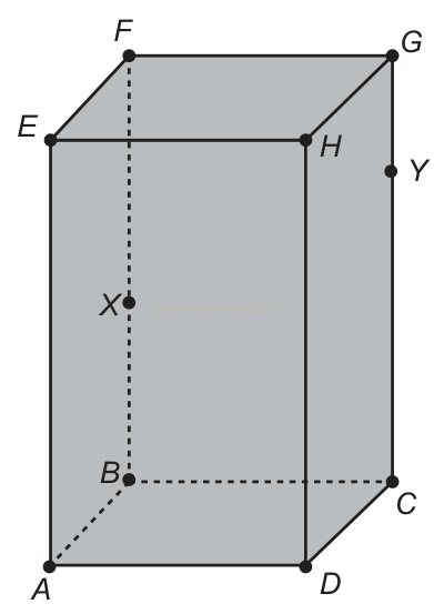 Bloco retangular em perspectiva com vértices de A a H, ponto X na aresta FB e ponto Y na aresta GC.
