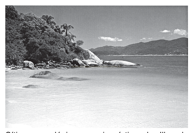 Fotografia em preto e branco de praia com morro coberto de vegetação, pedras na água e serras ao fundo.
