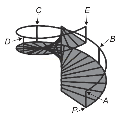 Desenho de uma escada em caracol em perspectiva, com setas identificando degrau, base, corrimão, poste e patamar.