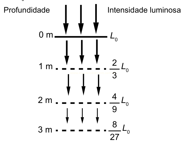 Diagrama mostrando a redução da intensidade luminosa com a profundidade, de L₀ na superfície a 8/27 de L₀ a 3 metros.