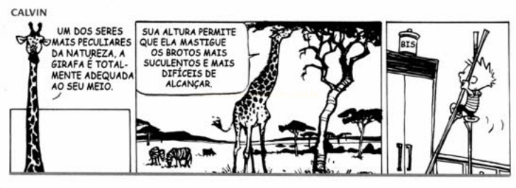 Tira de três quadros com uma girafa em dois quadros e, no terceiro, um menino subindo numa escada para alcançar um pote de biscoitos.