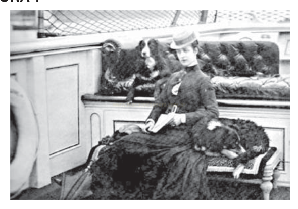 Fotografia em preto e branco de uma mulher com chapéu, sentada com dois cães de pelos longos em um banco.