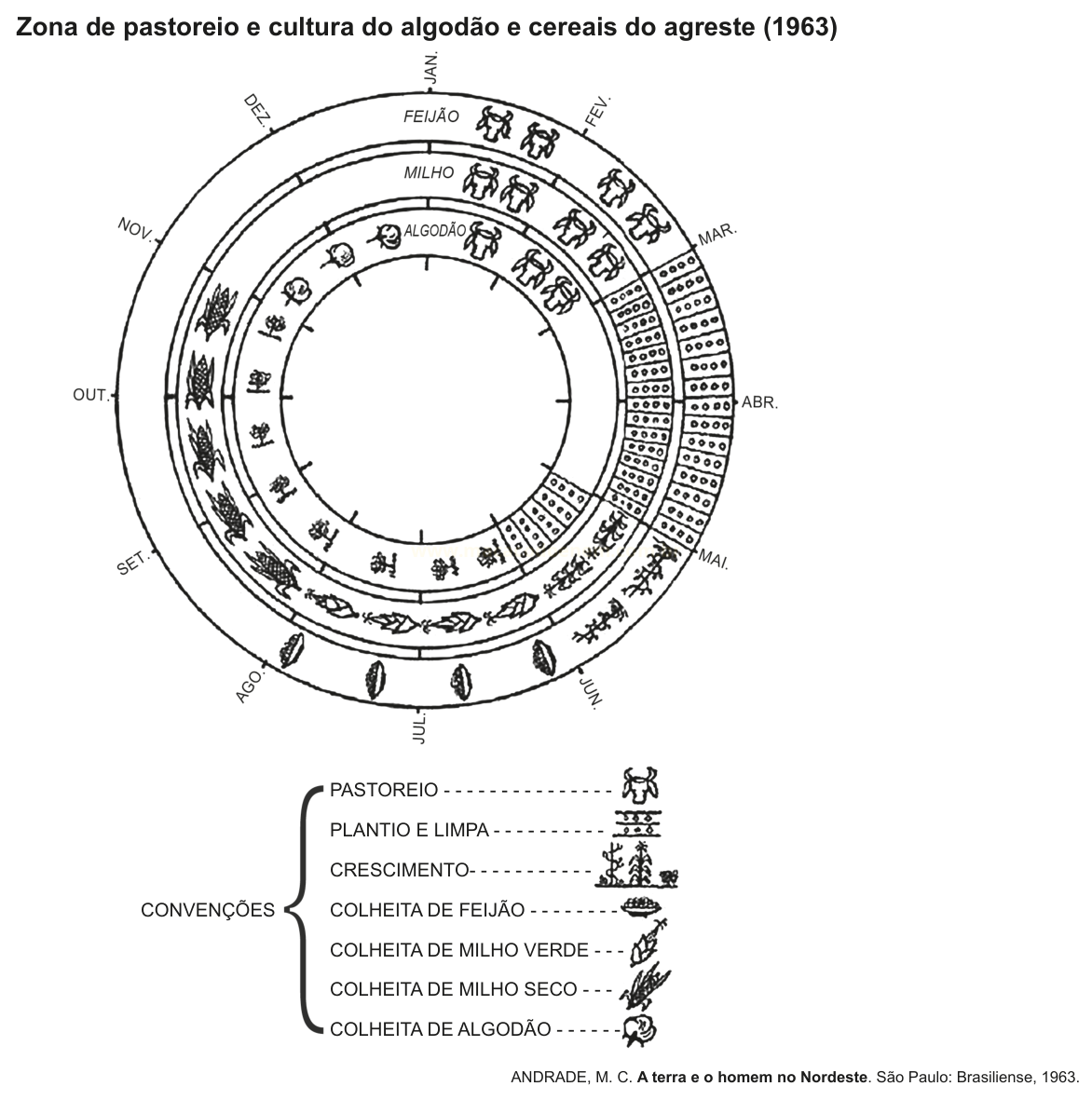 Diagrama circular com os meses do ano e anéis de cultivo de feijão, milho e algodão, com legenda de pastoreio, plantio e colheita.