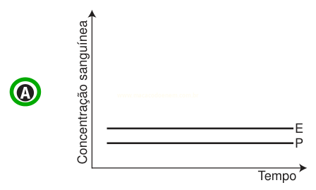 Gráfico A: duas linhas constantes, E acima de P, em um gráfico de concentração sanguínea por tempo.