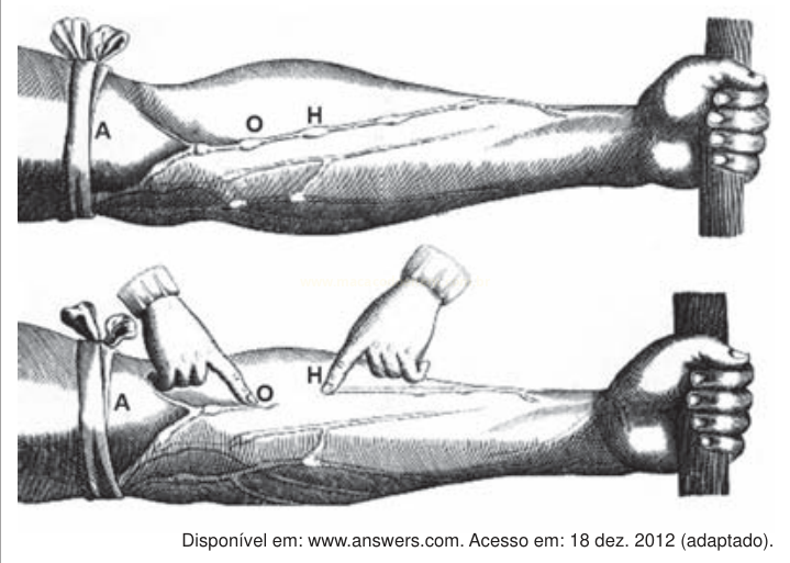 Ilustração de um braço com faixa de garrote e veias salientes, com as indicações A, O e H e mãos pressionando a veia.