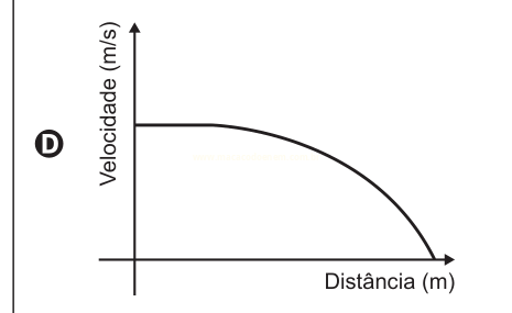 Gráfico D: trecho inicial de velocidade constante seguido de queda em curva até zero.