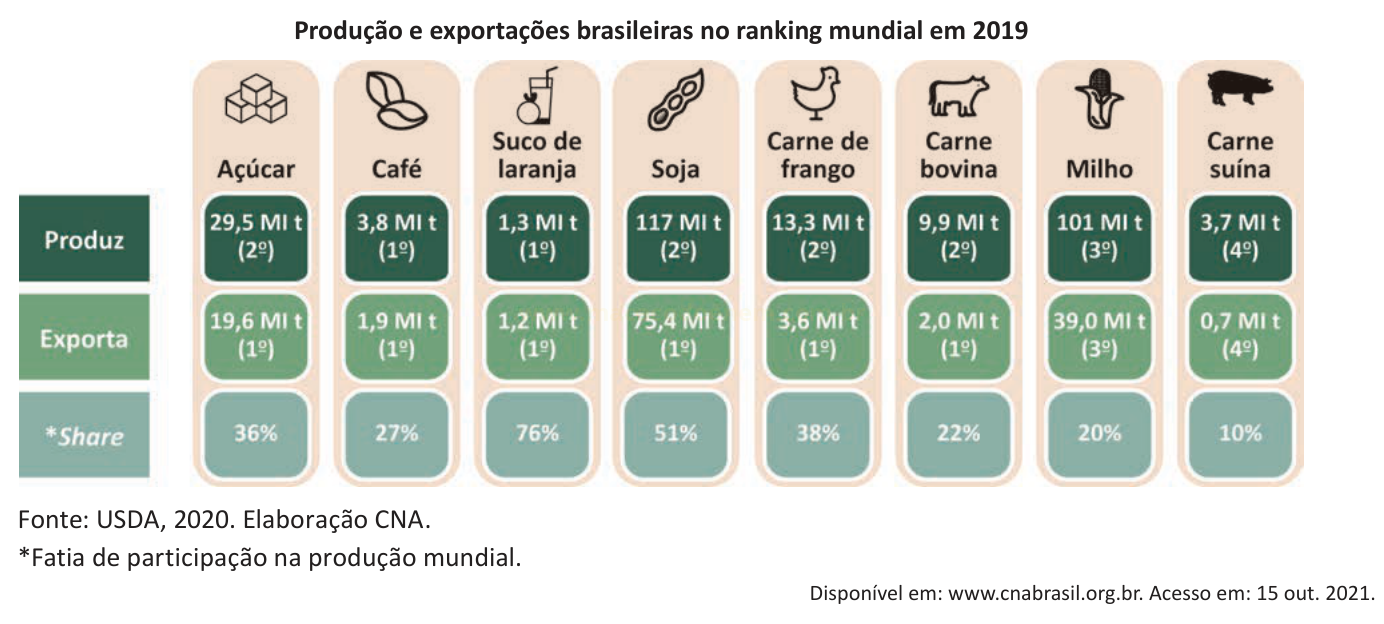 Infográfico com produção, exportação e participação mundial de oito produtos agrícolas brasileiros em 2019.