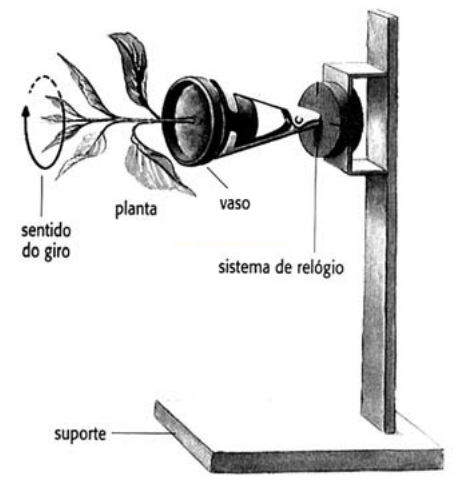 Esquema de um aparelho com suporte, sistema de relógio e vaso que gira uma planta, com seta indicando o sentido do giro.