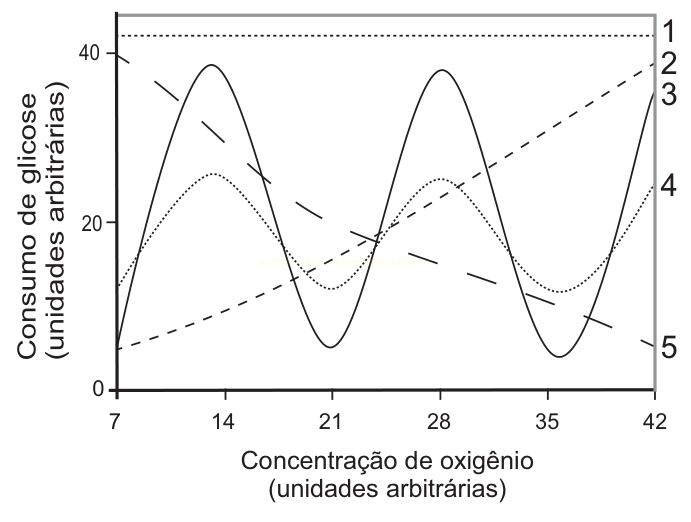 Gráfico com cinco curvas numeradas que relacionam consumo de glicose e concentração de oxigênio, incluindo curvas constantes, oscilantes, crescentes e decrescentes.