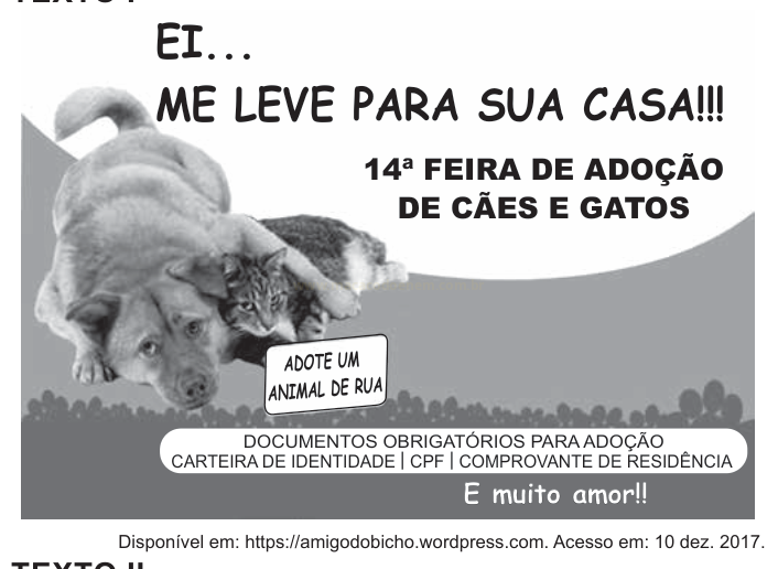 Cartaz de feira de adoção de cães e gatos com foto de um cachorro e um gato juntos.