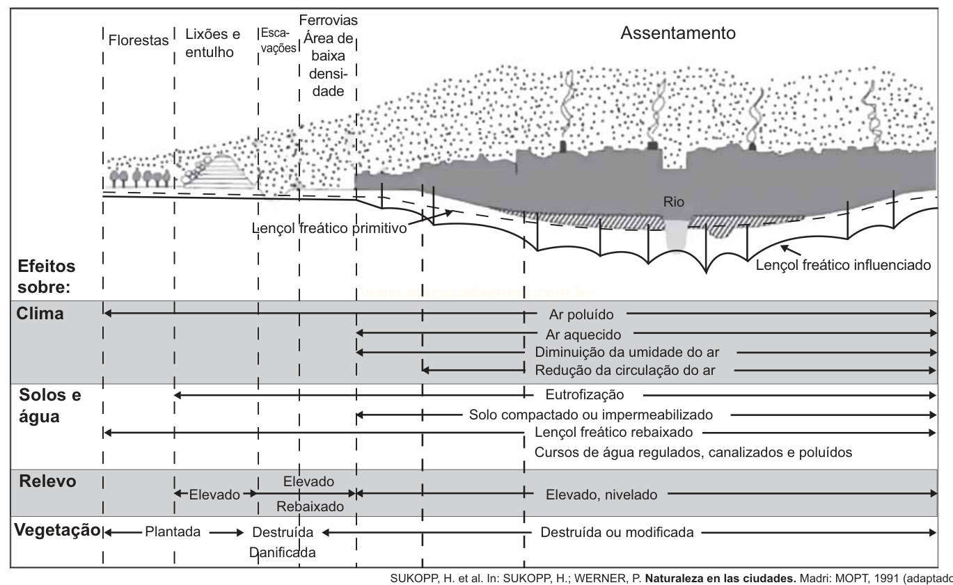 Corte esquemático de uma área em urbanização com usos do solo, rio e lençóis freáticos, e tabela de efeitos sobre clima, solos e água, relevo e vegetação.