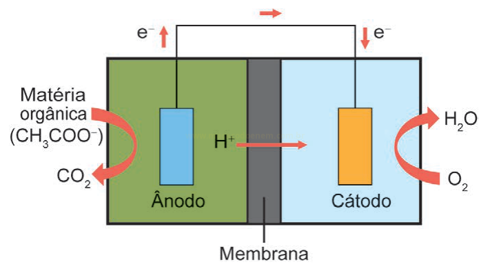 Diagrama de célula a combustível microbiana com ânodo, cátodo, membrana e fluxos de elétrons, H⁺, CO₂, O₂ e H₂O.