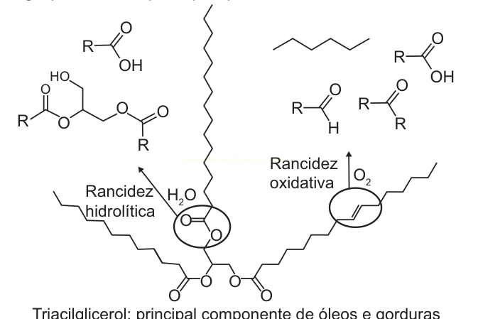 Esquema químico do triacilglicerol com as reações de rancidez hidrolítica (água) e oxidativa (oxigênio).
