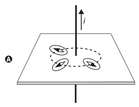 Diagrama de um fio vertical com corrente i atravessando um plano, com três ovais setados sobre uma linha tracejada circular (opção A).
