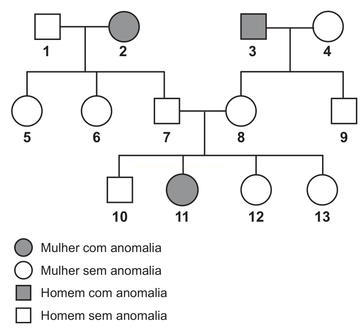 Heredograma com 13 indivíduos numerados, mostrando a ocorrência de uma anomalia em dois deles.